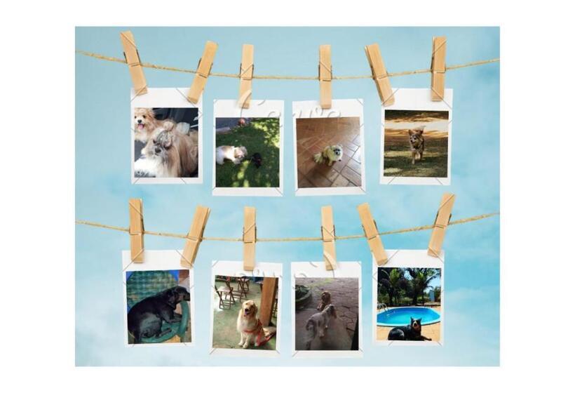 Pension (Hôtel basse catégorie) Pousada Canto Dos Passaros