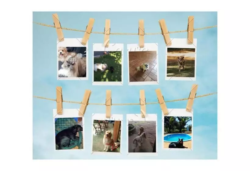 Majatalo Pousada Canto Dos Passaros