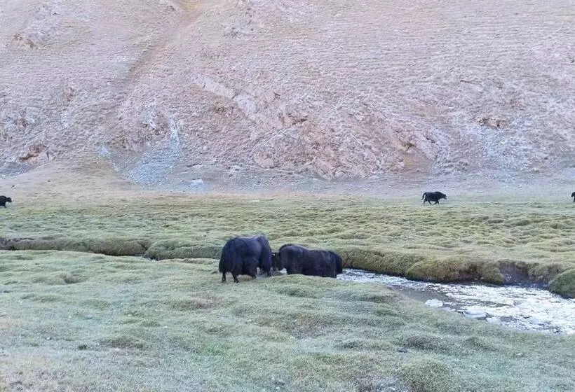 هاستل Naryn Guest House