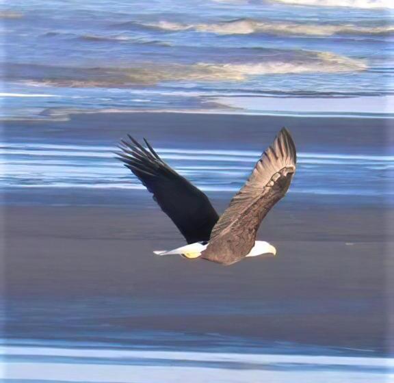 ホテル Chautauqua Resort & Conference Center