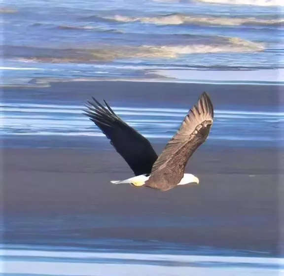 ホテル Chautauqua Resort & Conference Center