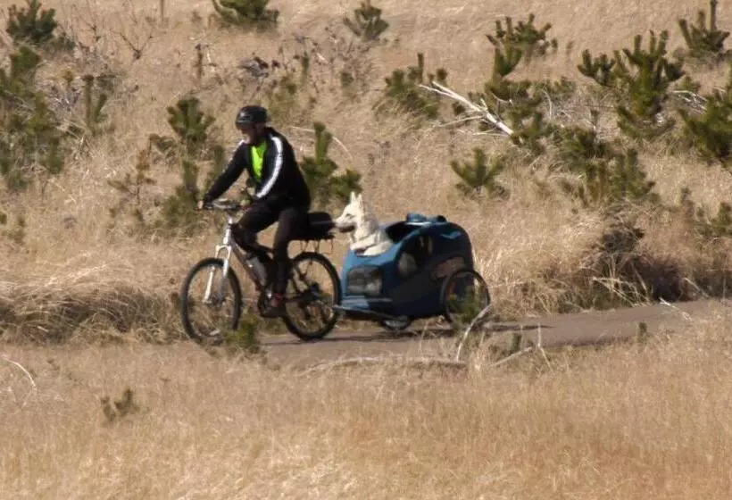ホテル Chautauqua Resort & Conference Center