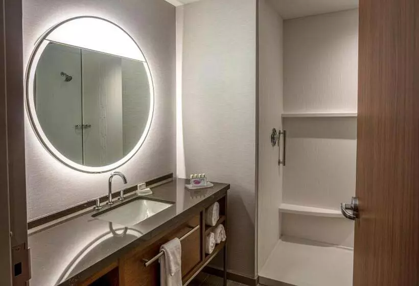 Hotelli Courtyard Rochester Downtown