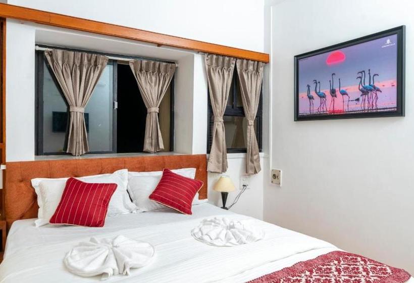 فندق Green Field