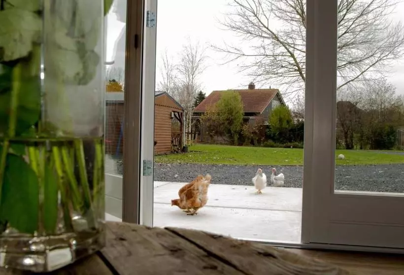 Aamiaismajoitus (B&B) Bnb Purmerland