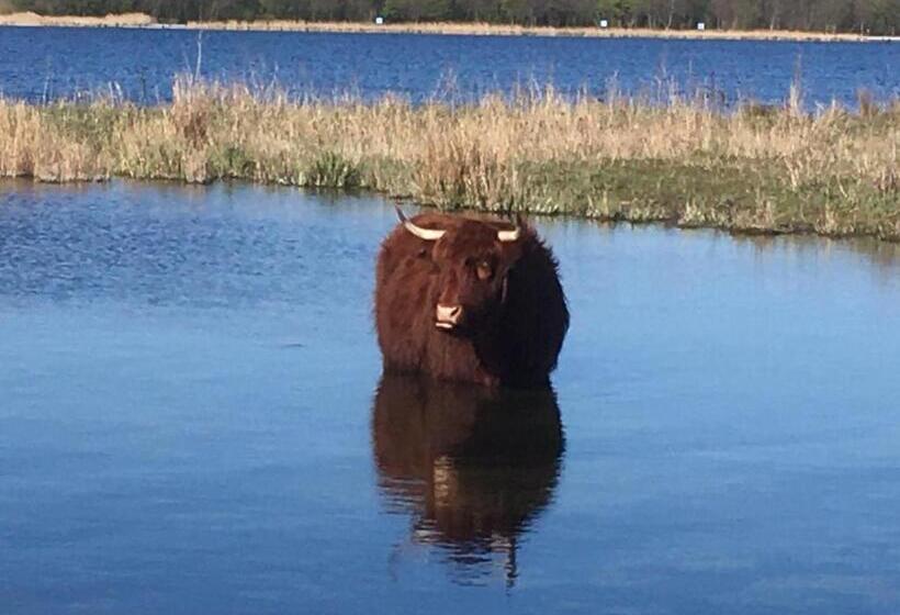 צימר Bnb Purmerland