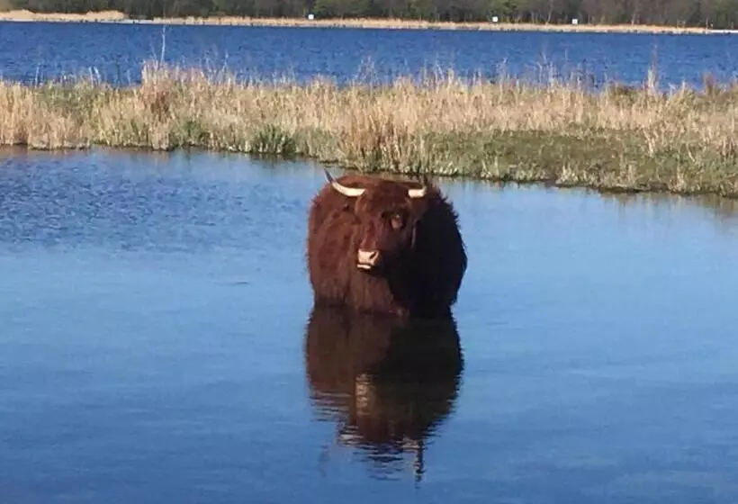 Aamiaismajoitus (B&B) Bnb Purmerland