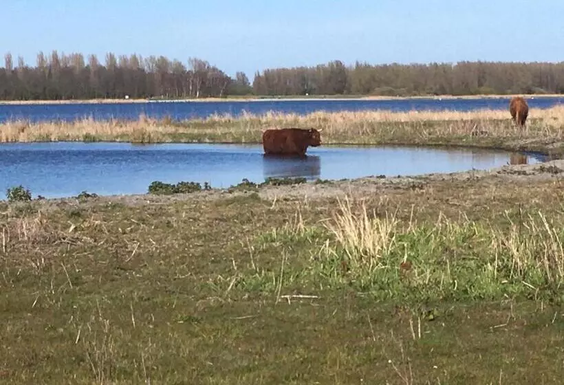 Aamiaismajoitus (B&B) Bnb Purmerland