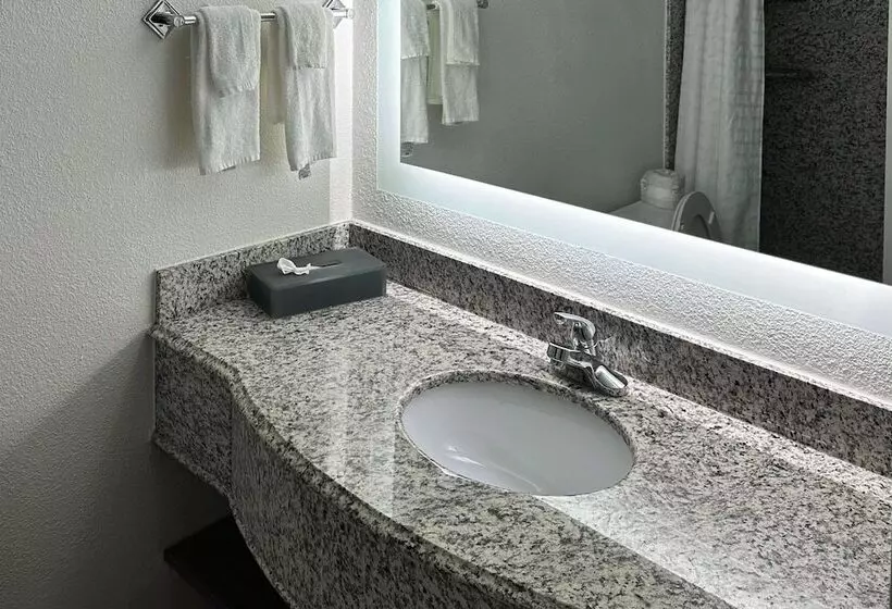 ホテル Comfort Inn Conover Hickory