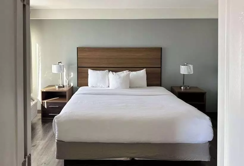 ホテル Comfort Inn Conover Hickory