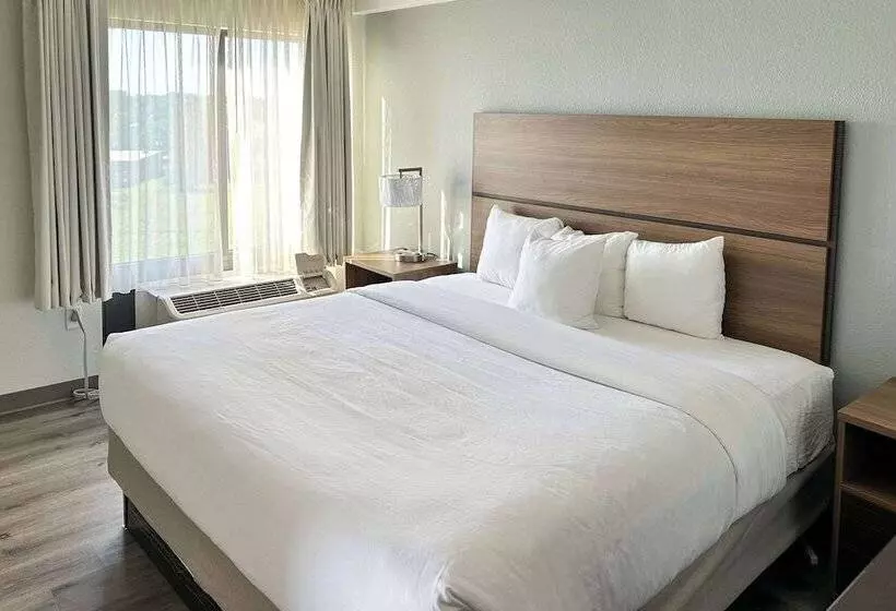 ホテル Comfort Inn Conover Hickory