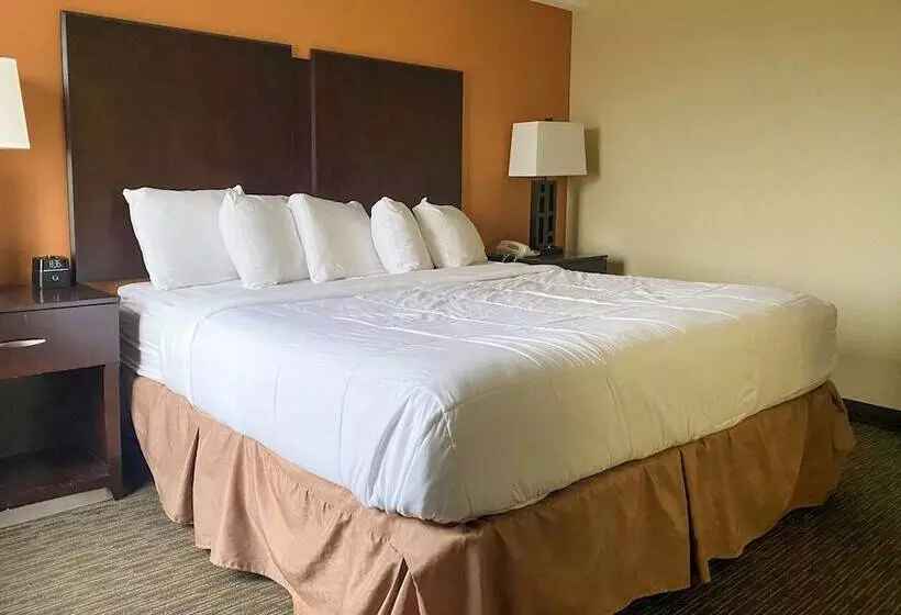 ホテル Comfort Inn Conover Hickory