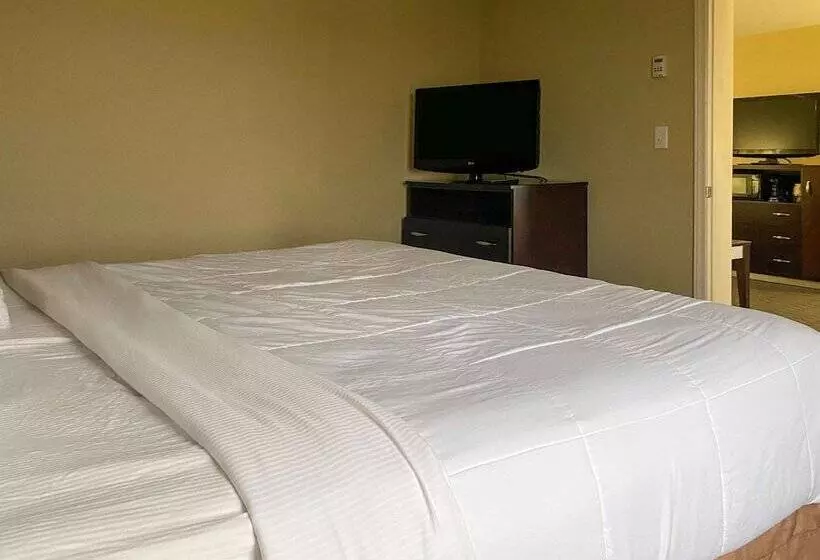 ホテル Comfort Inn Conover Hickory