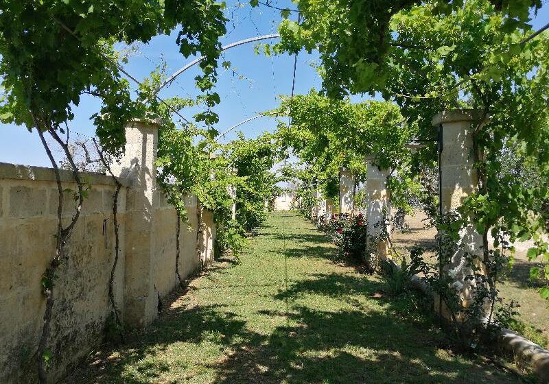 استراحتگاه Relais Borgo Segine