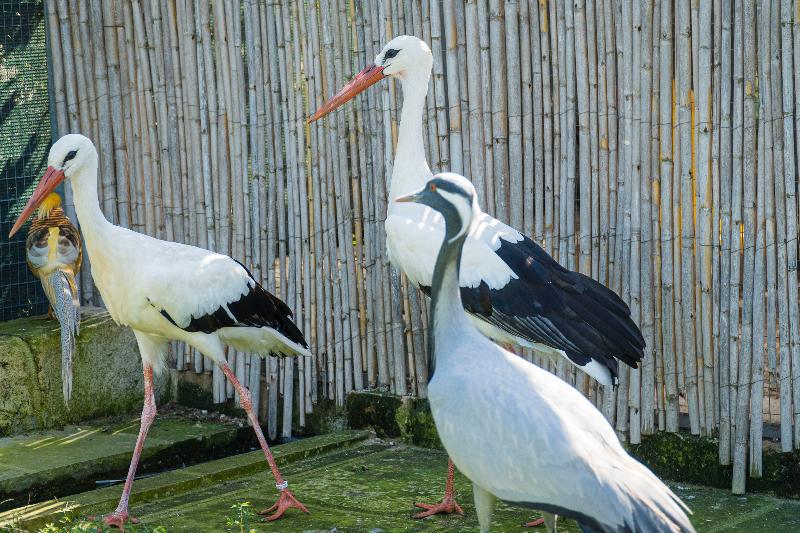 استراحتگاه Relais Borgo Segine