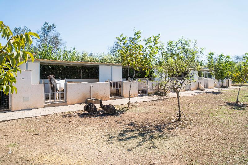 استراحتگاه Relais Borgo Segine