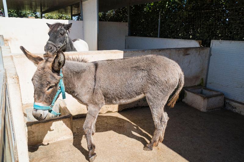 استراحتگاه Relais Borgo Segine