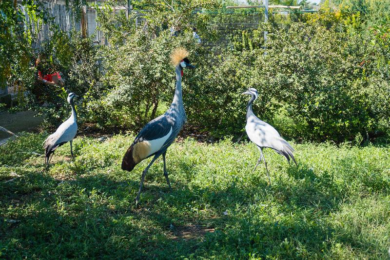 استراحتگاه Relais Borgo Segine