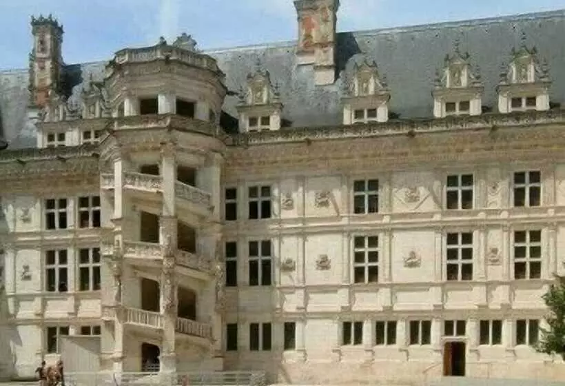 فندق Hôtel Du Bellay