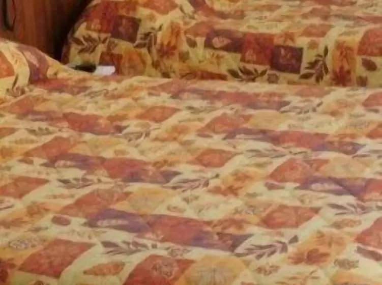 فندق Hôtel Du Bellay