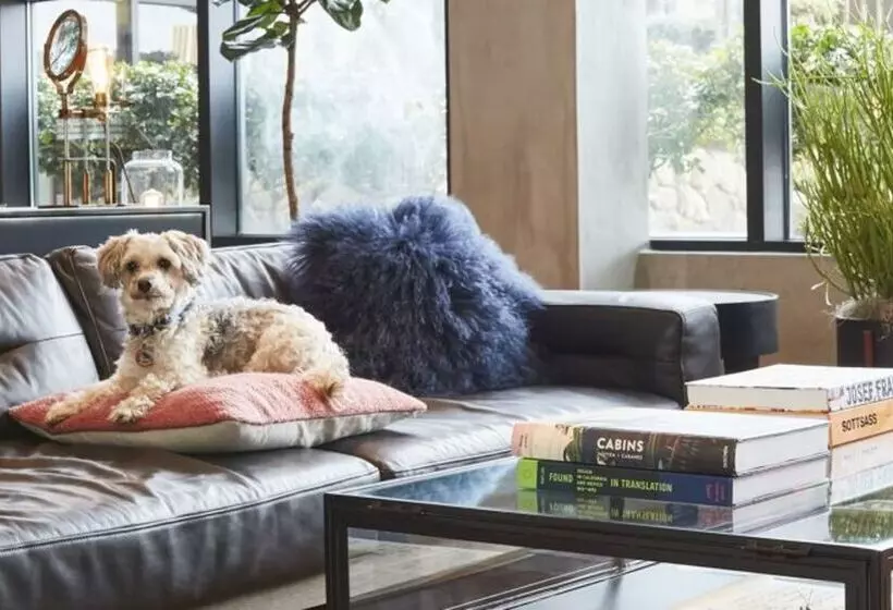 בית מלון כפרי Kabuki, Part Of Jdv By Hyatt