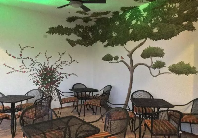 هتل Plaza Cozumel