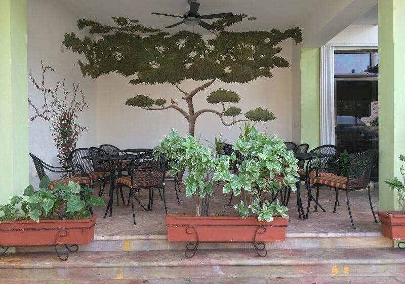 فندق Plaza Cozumel