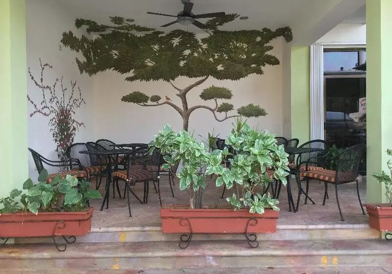 هتل Plaza Cozumel