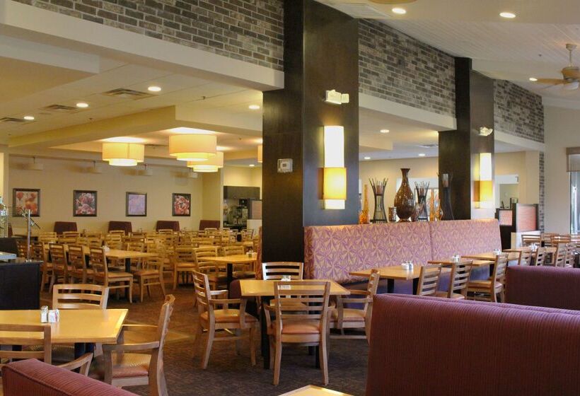 Отель Rosen Inn International