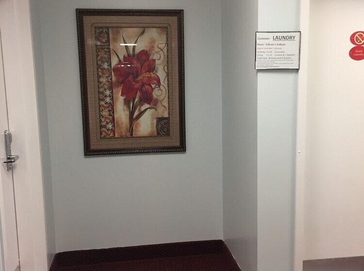 ホテル Travel Inn & Suites Innisfail