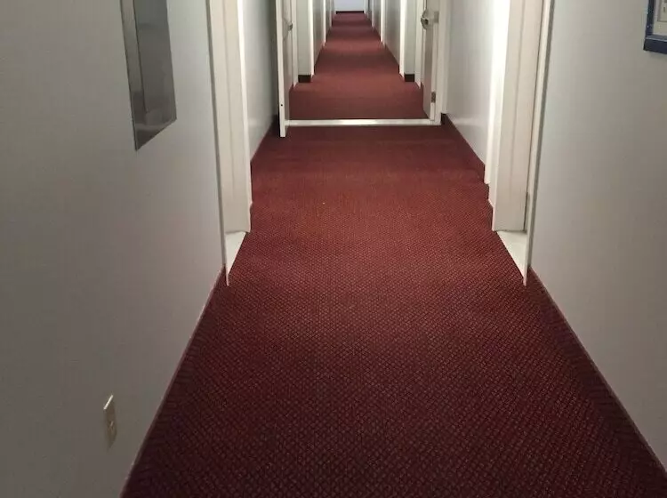 ホテル Travel Inn & Suites Innisfail