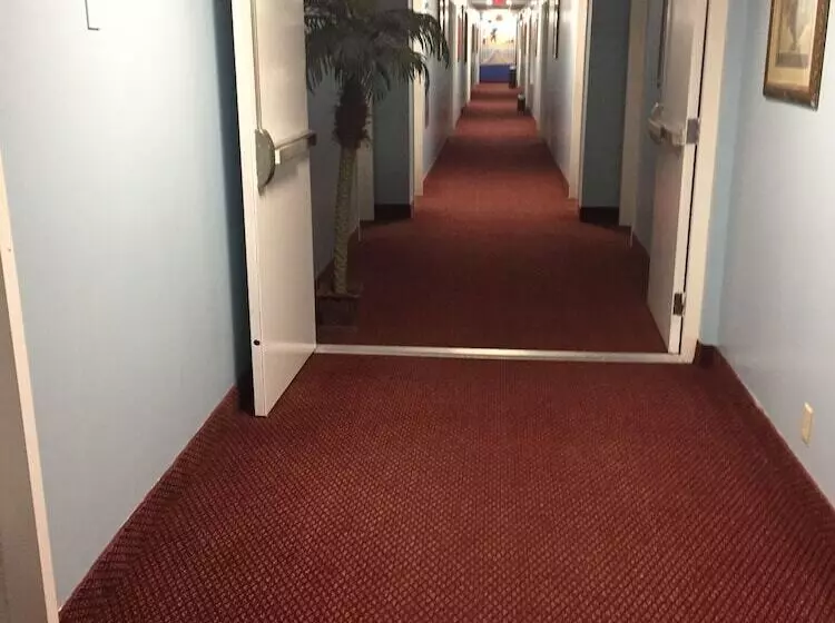 ホテル Travel Inn & Suites Innisfail