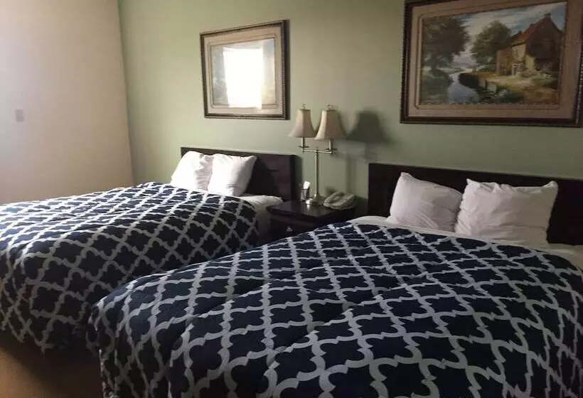 ホテル Travel Inn & Suites Innisfail