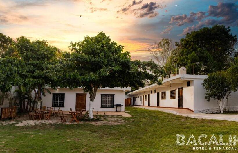 ホテル & Temazcal Bacalike