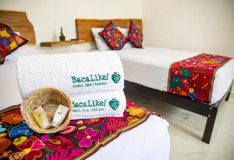 ホテル & Temazcal Bacalike