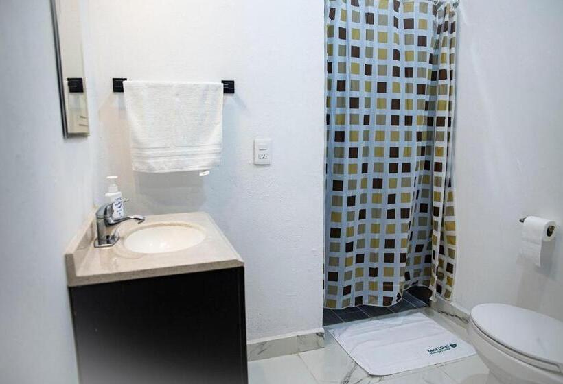 ホテル & Temazcal Bacalike