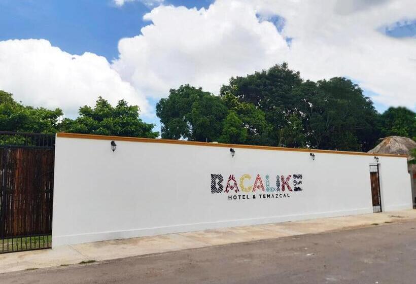 ホテル & Temazcal Bacalike