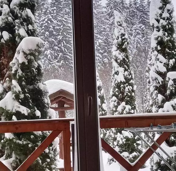 ホテル на березі черемошу