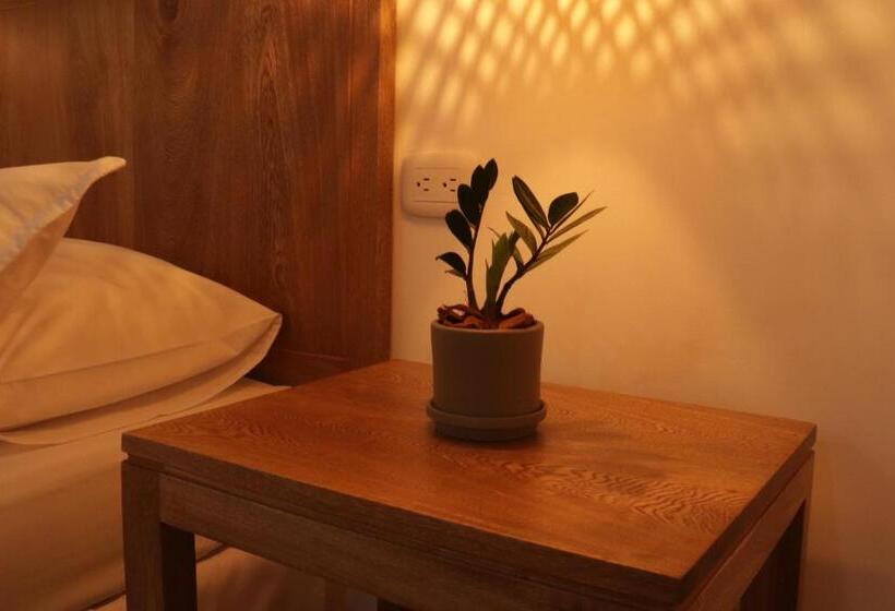 هتل Centro Monteria