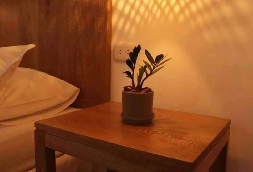 هتل Centro Monteria