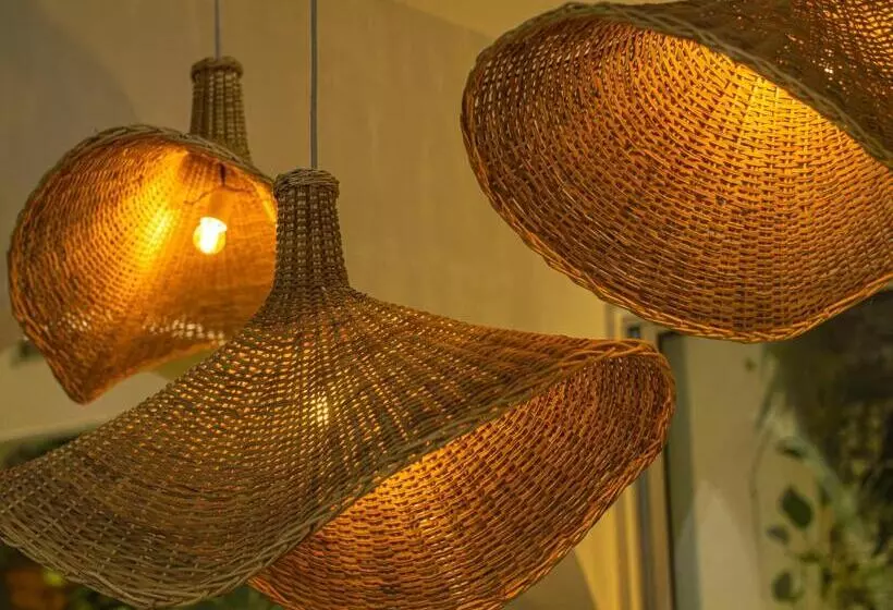 هتل Centro Monteria