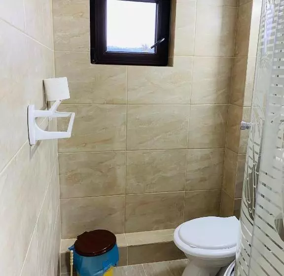Pensiunea Dedu