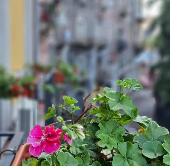 تختخواب و صبحانه Casa Tua Suites