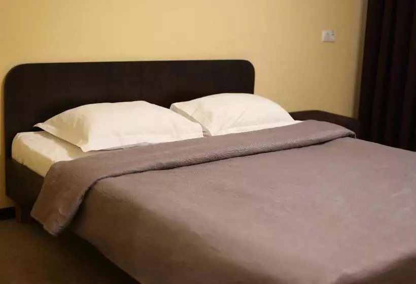 ホテル готель палац