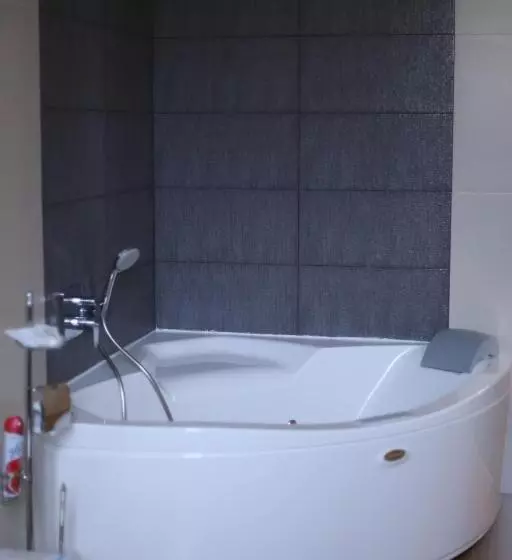 ホテル готель палац