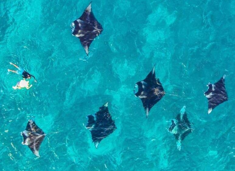 پانسیون Kingsway Thoddoo Maldives