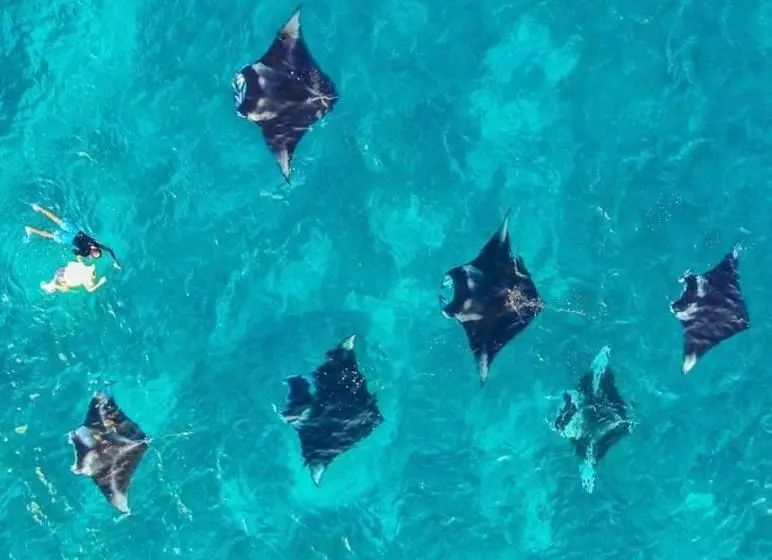 پانسیون Kingsway Thoddoo Maldives