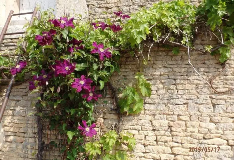 Aamiaismajoitus (B&B) Safranière De La Venelle Du Moulin