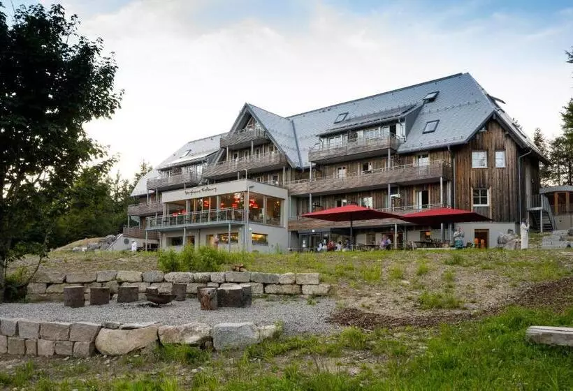 Berghaus Freiburg   Appartement Hotel Auf Dem Schauinsland