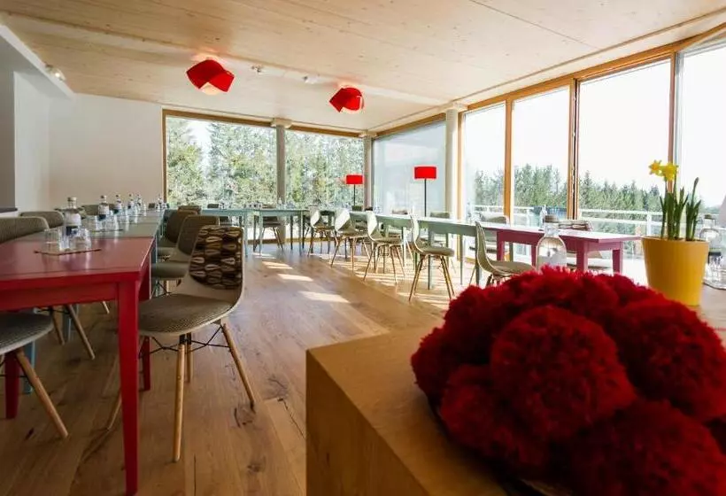 Berghaus Freiburg   Appartement Hotel Auf Dem Schauinsland